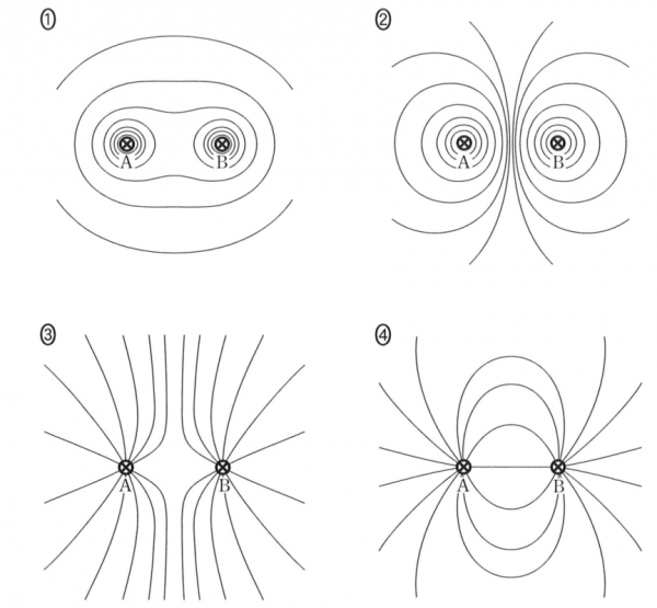 Magnetization Method